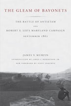 The Gleam of Bayonets