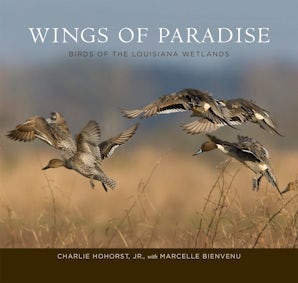 Wings of Paradise