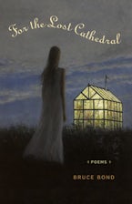 For the Lost Cathedral