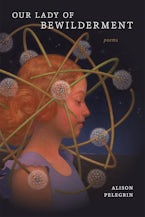 Our Lady of Bewilderment